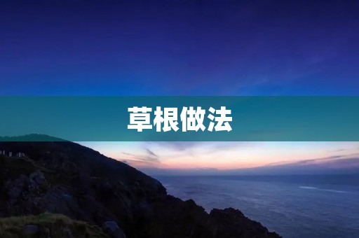 草根做法：从零开始，打造自己的生活方式