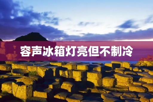 容声冰箱灯亮但不制冷：解决方法详解