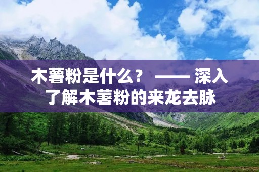 木薯粉是什么? —— 深入了解木薯粉的来龙去脉