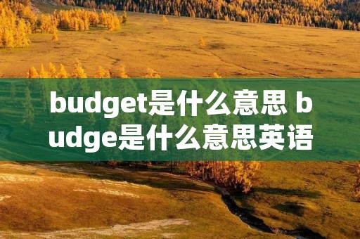 budget是什么意思 budge是什么意思英语