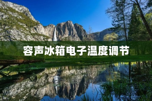 容声冰箱电子温度调节：让你的食材更加新鲜