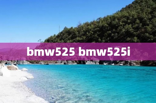 bmw525 bmw525i