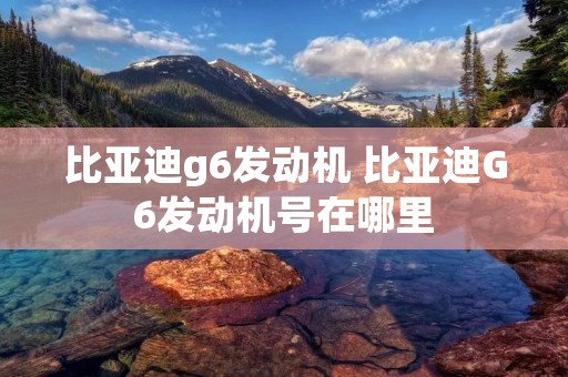 比亚迪g6发动机 比亚迪G6发动机号在哪里
