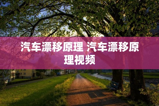 汽车漂移原理 汽车漂移原理视频