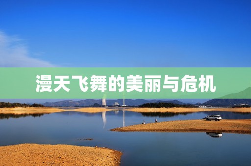 漫天飞舞的美丽与危机