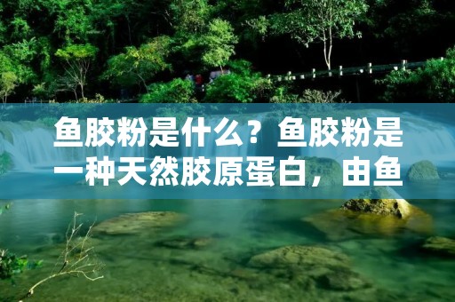 鱼胶粉是什么?鱼胶粉是一种天然胶原蛋白,由鱼鳞、鱼骨、鱼皮等经过高温加热处理后,经过部分水解、脱脂、脱色等工序制成的白色粉末。鱼胶粉具有良好的胶凝性和稳定性,广泛应用于食品、医药、化妆品、工业等领域。
