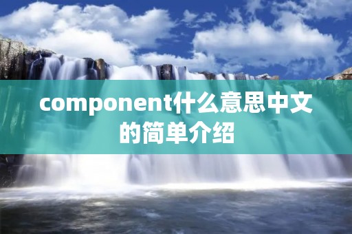 component什么意思中文的简单介绍