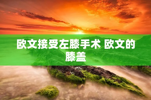 欧文接受左膝手术 欧文的膝盖