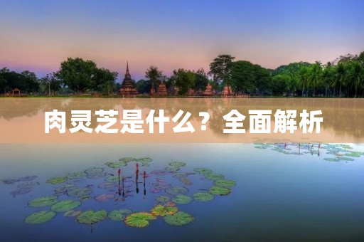 肉灵芝是什么?全面解析