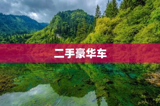 二手豪华车：品质与性价比的完美结合