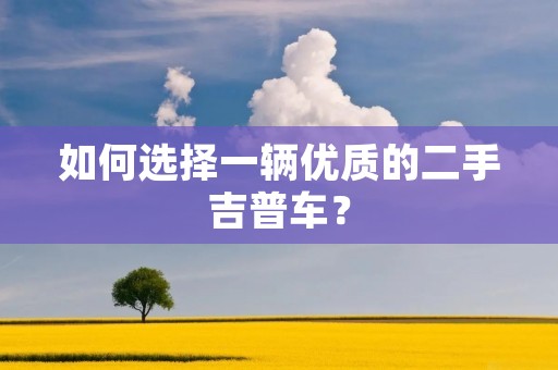 如何选择一辆优质的二手吉普车? 如何选择一辆优质的二手吉普车?