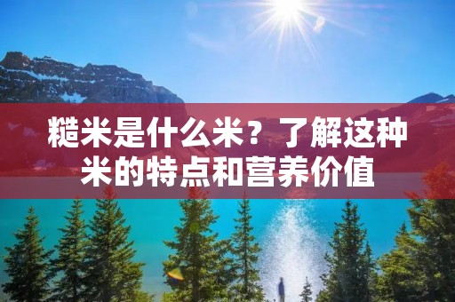 糙米是什么米?了解这种米的特点和营养价值