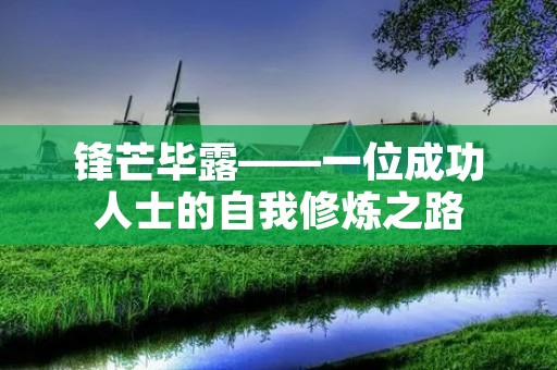 锋芒毕露——一位成功人士的自我修炼之路