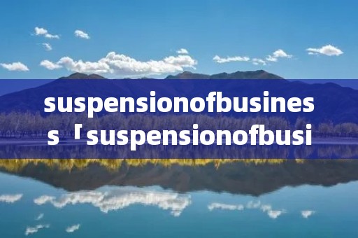suspensionofbusiness「suspensionofbusiness这些拼音是什么意思」