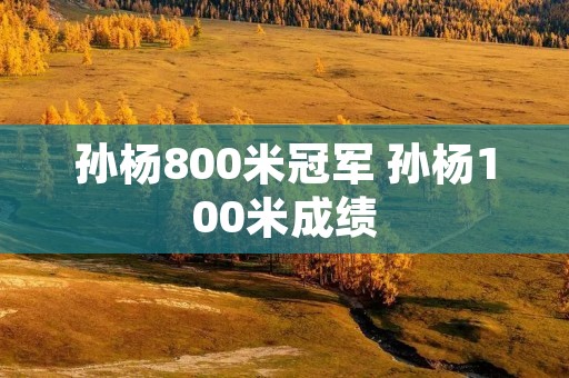 孙杨800米冠军 孙杨100米成绩 孙杨800米冠军 孙杨100米成绩