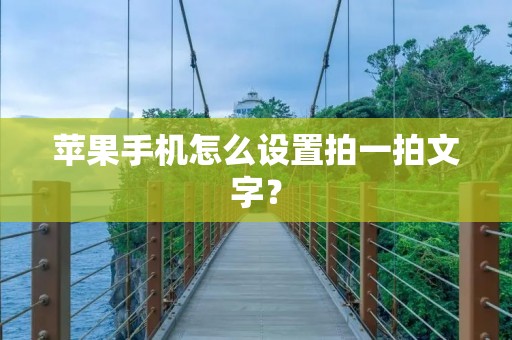 苹果手机怎么设置拍一拍文字？