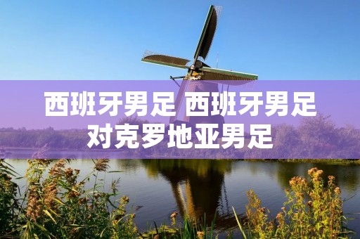 西班牙男足 西班牙男足对克罗地亚男足
