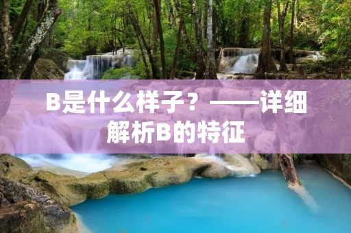 B是什么样子?——详细解析B的特征