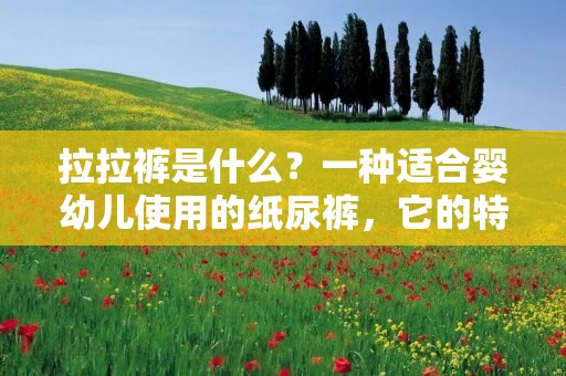 拉拉裤是什么?一种适合婴幼儿使用的纸尿裤,它的特点是无需使用安全别针或其他固定装置,而是直接在婴儿腰部和腿部使用伸缩松紧带来固定。拉拉裤的设计理念是为了方便使用和更好的适应婴幼儿的生活习惯。
