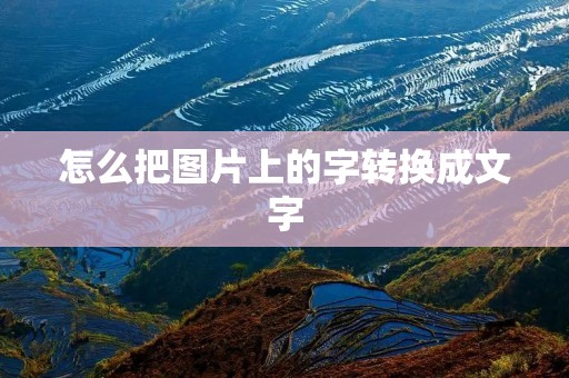 怎么把图片上的字转换成文字