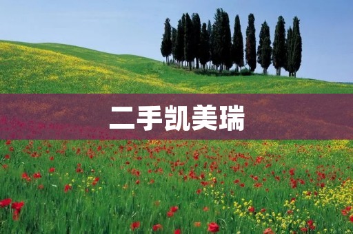 二手凯美瑞：优质家用轿车选择