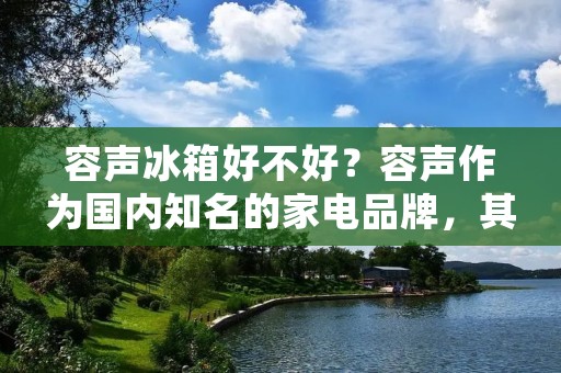 容声冰箱好不好？容声作为国内知名的家电品牌，其冰箱产品在市场上备受消费者的追捧。那么，容声冰箱到底好不好呢？本文将从品牌实力、产品质量、售后服务等方面进行详细的分析。