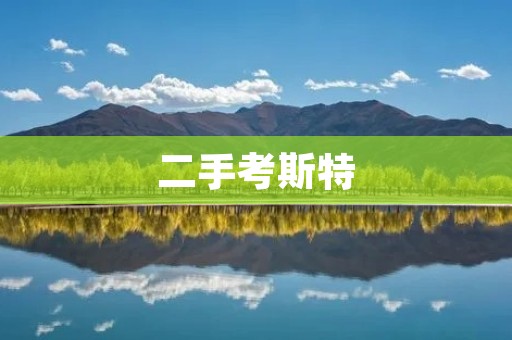 二手考斯特:经济实惠的商务旅行首选 二手考斯特:经济实惠的商务旅行首选