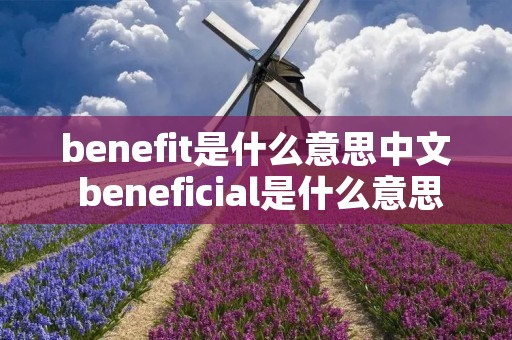benefit是什么意思中文 beneficial是什么意思中文