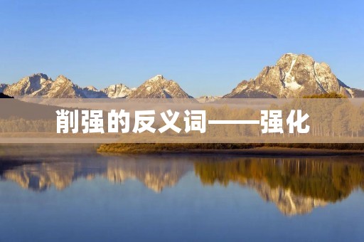 削强的反义词——强化