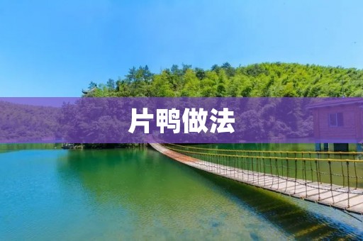 片鸭做法:口感鲜美的美食佳品 片鸭做法:口感鲜美的美食佳品