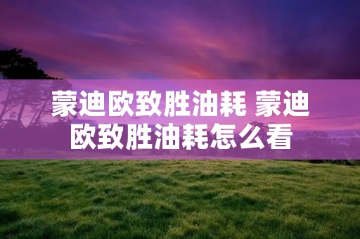 蒙迪欧致胜油耗 蒙迪欧致胜油耗怎么看