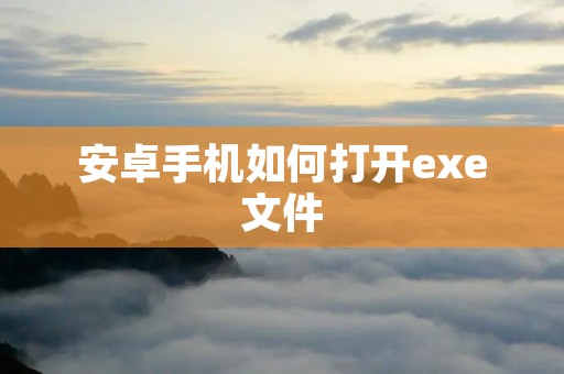 安卓手机如何打开exe文件