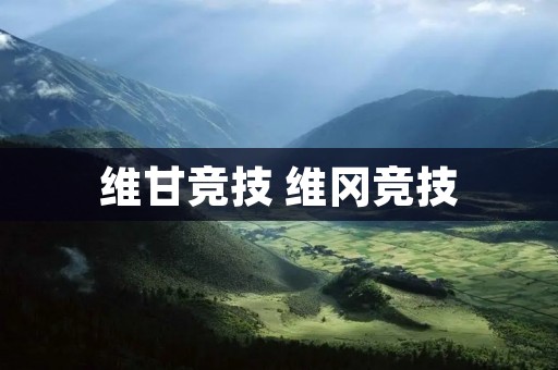 维甘竞技 维冈竞技