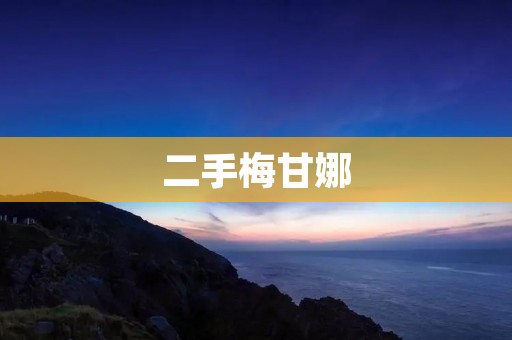 二手梅甘娜:一场关于虚拟与现实的交错 二手梅甘娜:一场关于虚拟与现实的交错