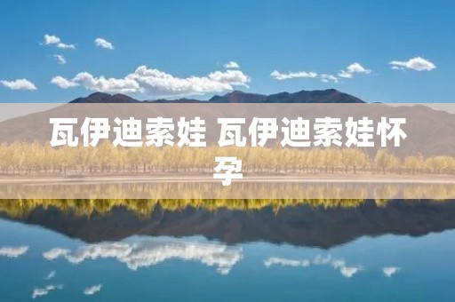 瓦伊迪索娃 瓦伊迪索娃怀孕