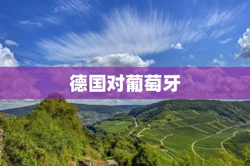 德国对葡萄牙:欧洲杯比赛分析 德国对葡萄牙:欧洲杯比赛分析