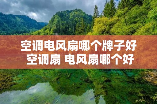 空调电风扇哪个牌子好 空调扇 电风扇哪个好