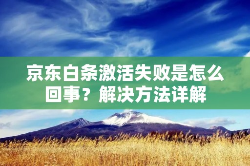 京东白条激活失败是怎么回事？解决方法详解