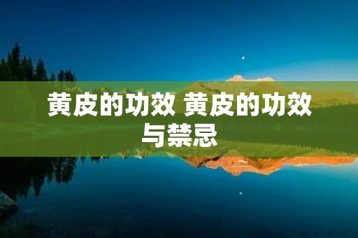 黄皮的功效 黄皮的功效与禁忌