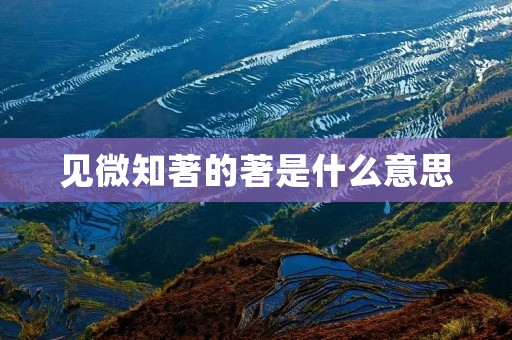 见微知著的著是什么意思