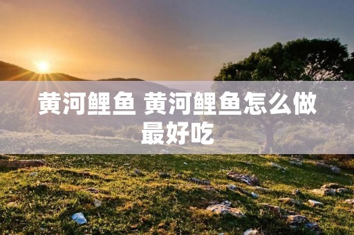 黄河鲤鱼 黄河鲤鱼怎么做最好吃