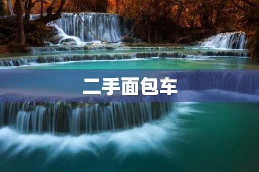 二手面包车:如何选择最合适的车型? 二手面包车:如何选择最合适的车型?