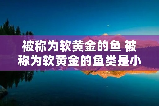 被称为软黄金的鱼 被称为软黄金的鱼类是小鲤鱼还是鳗鱼苗