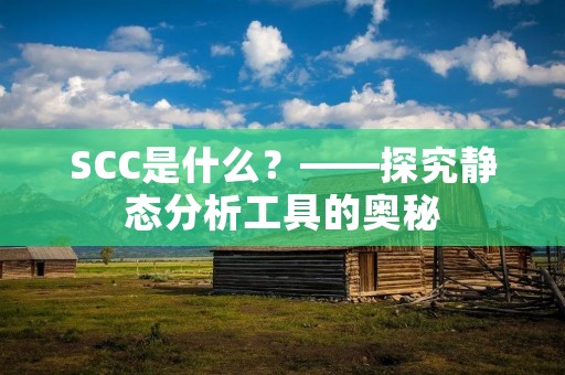 SCC是什么?——探究静态分析工具的奥秘