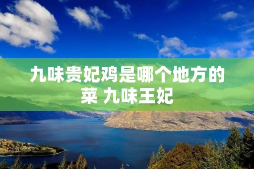 九味贵妃鸡是哪个地方的菜 九味王妃