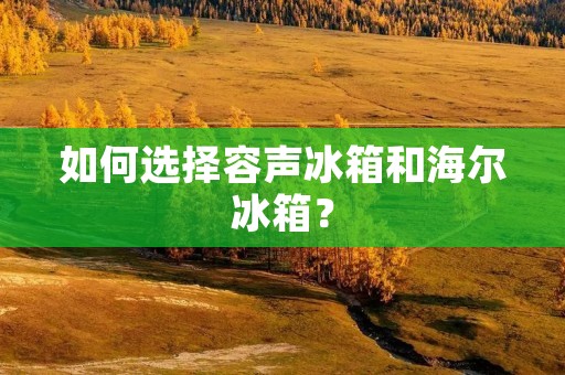 如何选择容声冰箱和海尔冰箱？