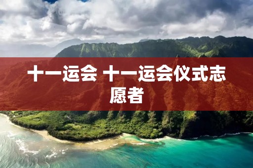 十一运会 十一运会仪式志愿者