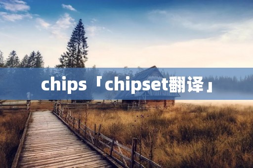 chips「chipset翻译」