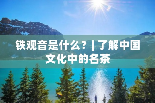 铁观音是什么?| 了解中国文化中的名茶