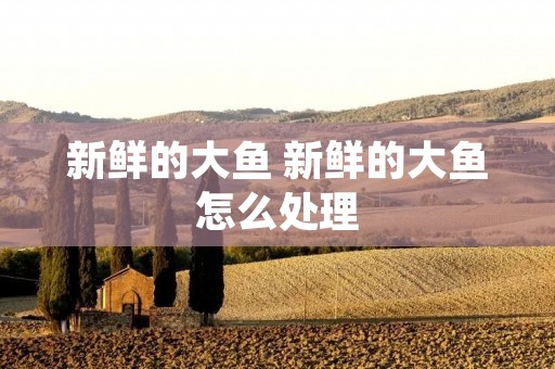 新鲜的大鱼 新鲜的大鱼怎么处理